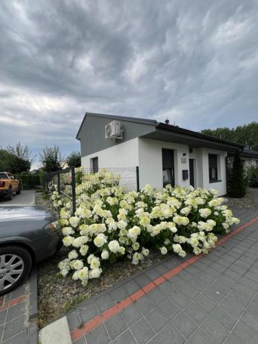 . Hortensja 2 Check-in 24H