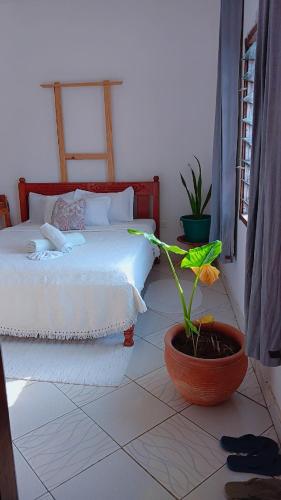 PalmPath Apartment in Watamu