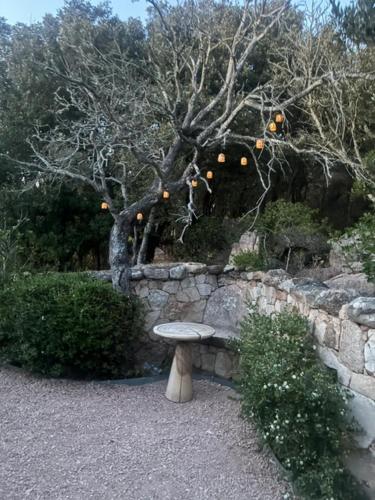 Vaade, Stazzu La Vigna Di Maria in Luogosanto