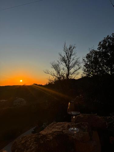 Ümbrus, Stazzu La Vigna Di Maria in Luogosanto