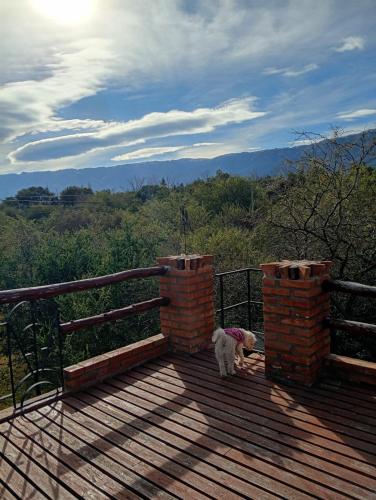 Lo de iaia in Carpinteria