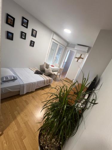 Casa Sol, Porriño (foto 2)