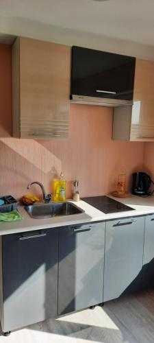 Ozolu street apartment in 温特斯皮尔斯