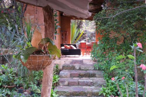 El Paraiso - B&B Finca San Vicente