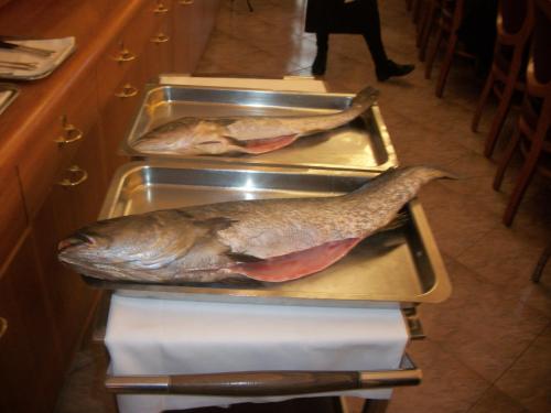 Albergo Ristorante Belvedere - image 3