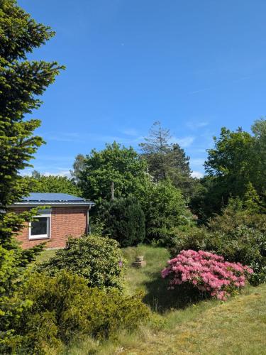 neu renoviert - modernes Ferienhaus in Nordseenähe (neu renoviert - modernes Ferienhaus in Nordseenahe) in Lunden