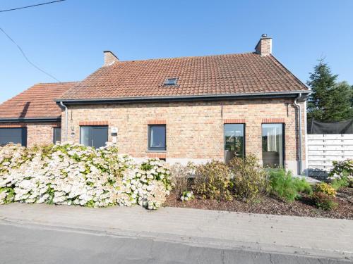 Romanie gîte à louer Pottebezem