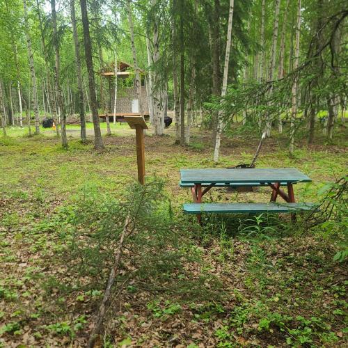 Houston Grass Station Campsite #25