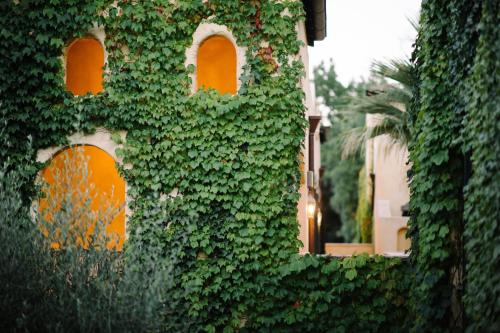 Kenwood Inn & Spa - image 7