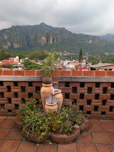 Skats, Posada Los Jarrones in Tepoztlana