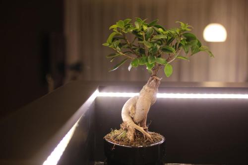 Super-Apartamenty VIP - image 6