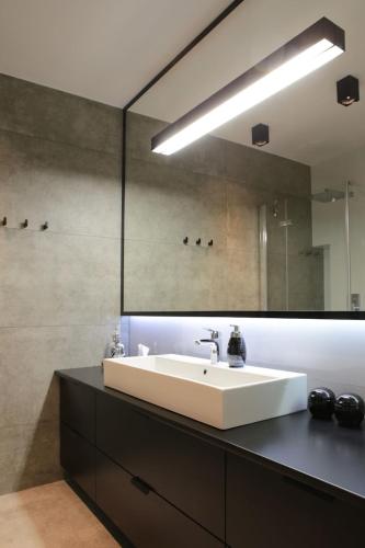Penthouse Apartment image 8