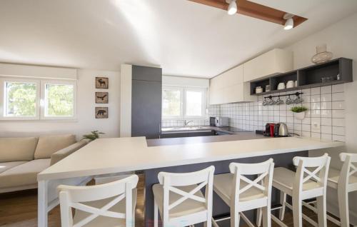 Kitchen, Beautiful Home In Zerava in Briševo