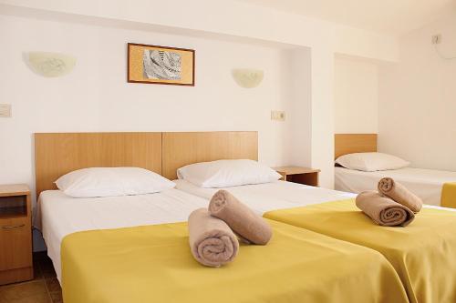 호텔 라딕 (Hotel Radik) in 소조폴