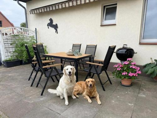120qm Familienwohnung nahe Serengeti Park 3 SZ in Grethem