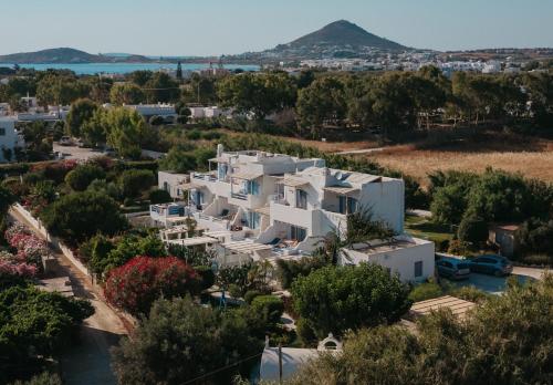 Annio studios, Plaka