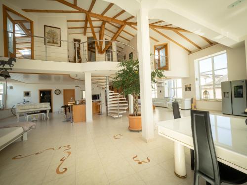  280m2 Luxus Loft Atrium-X 60m2 Terrasse in Rorbas
