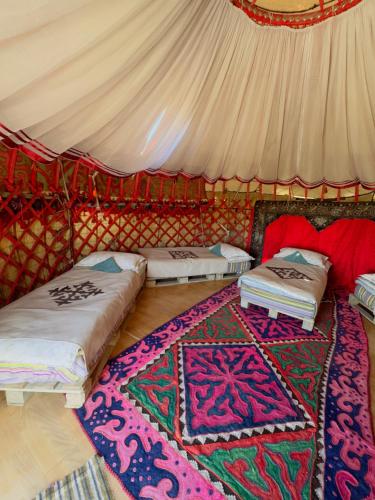 Mars Canyon Yurt Camp in Kaji-Say