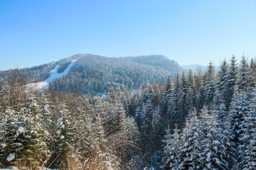 Karpaty Migovo - image 3