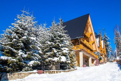 Karpaty Migovo - image 13