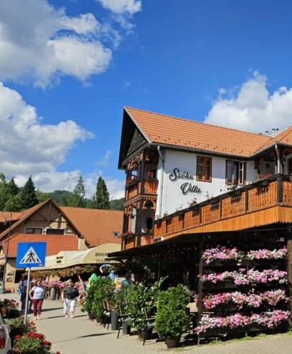 . VILA SZOKE SOVATA