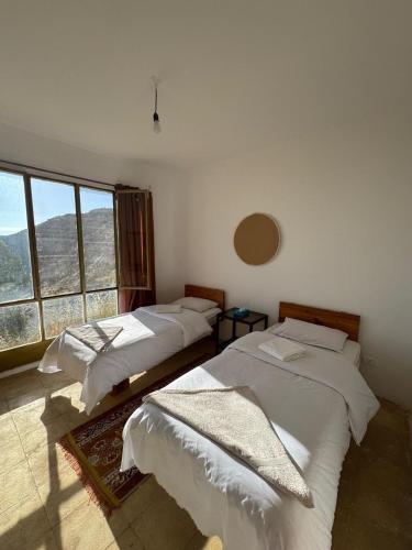 Dana Village lodge and Camp-Wadi Dana Eco camp in Dana