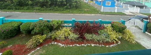 View, Restorations Tobago - Shin Nest in Crown Point
