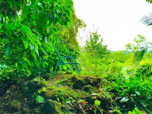 Las Catalinas Ecológicas (El Maizal) (Las Catalinas Ecologicas (El Maizal)) in Chame