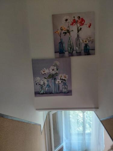 casa vacanza Lu Murajon in Palmoli