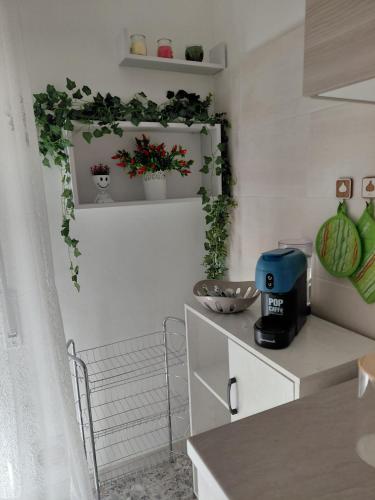 virtuve, casa vacanza Lu Murajon in Palmoli