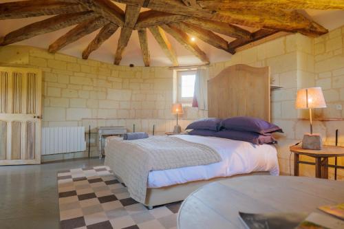 Chateau de Candes - Art & Spa in Candes-Saint-Martin
