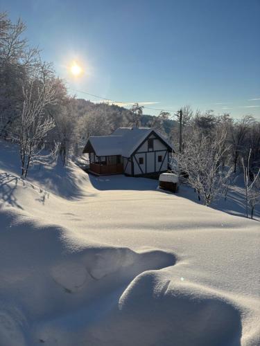Village house Marković