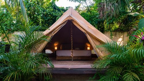 Shamalay - Nomad Experience 2