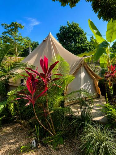 Shamalay - Nomad Experience