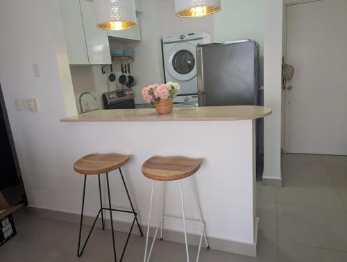 Playa del Sol Beach Apartment in Las Uvas