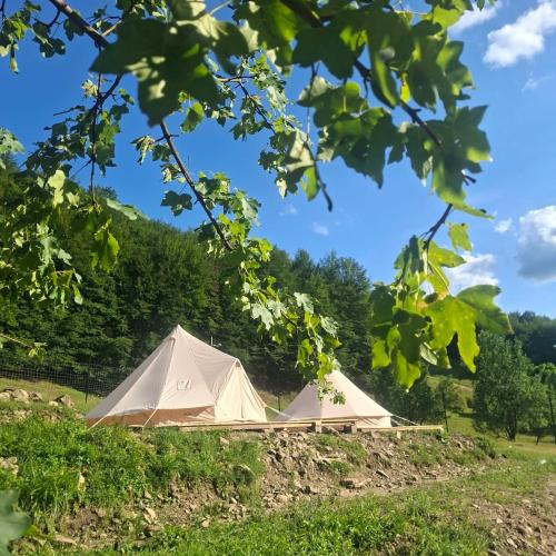 CampingSiriu in Lunca Jariştei