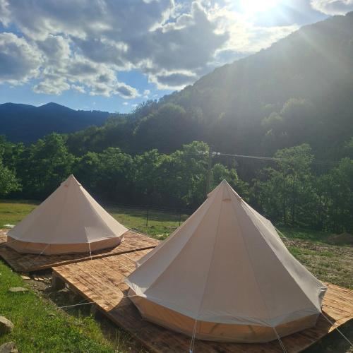 CampingSiriu in Lunca Jariştei