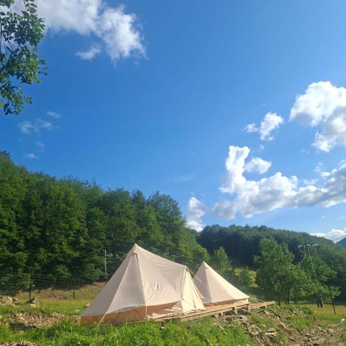 CampingSiriu in Lunca Jariştei