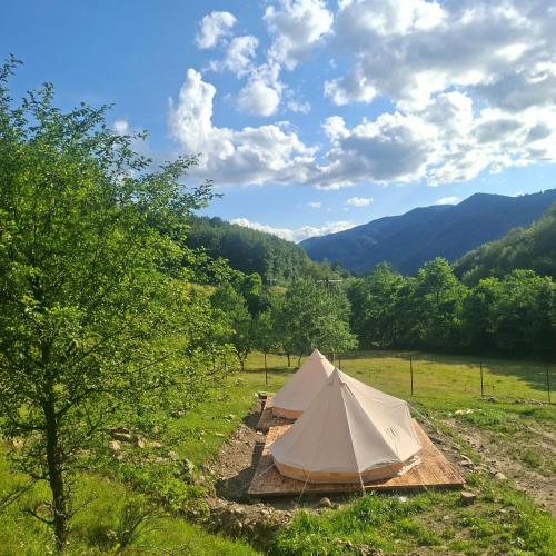 Apkārtne, CampingSiriu in Lunca Jariştei