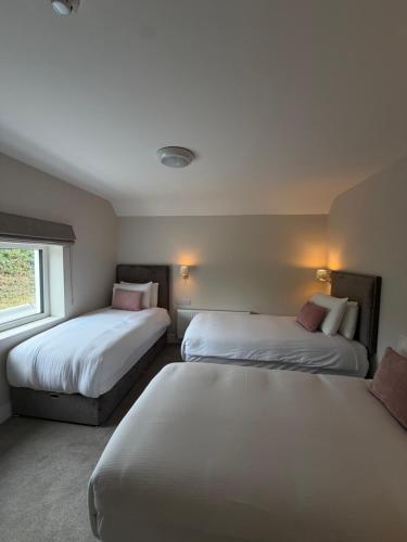 The Grove Lodge Guesthouse 5