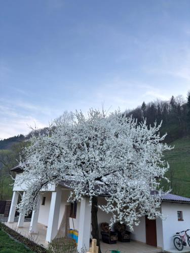 Erkély/terasz, Family house Kvasy in Kvasy