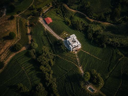 wicky villa