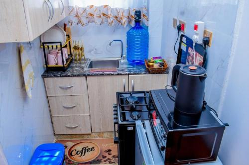 Delsy Studios Ruaka in รูอากา
