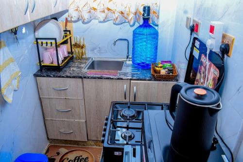Delsy Studios Ruaka in รูอากา