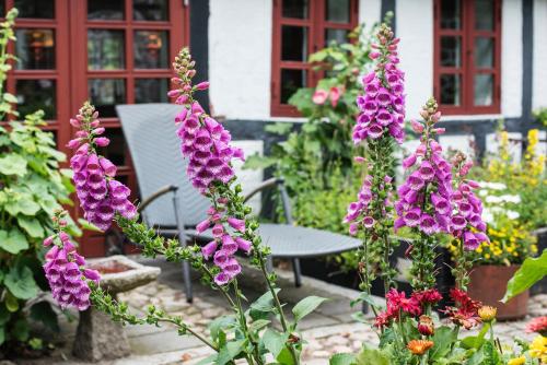 Grundfør Bed and Breakfast