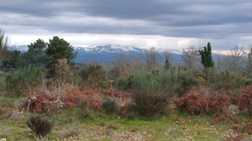 Casa das Fragas - Serra da Estrela