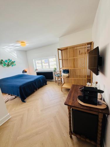 Stijlvolle slaapkamers met privébadkamer in concessiewijk, op een steenworp van het strand chambre d'hôte Flandre