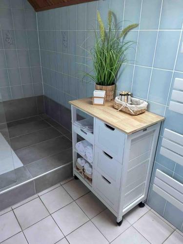 Bathroom, NEU 2 Zi-DG Luxus in gruner Idylle! in Krummesse