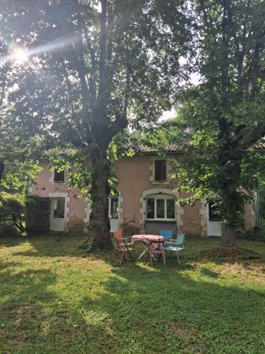 Maison en pleine forêt landaise