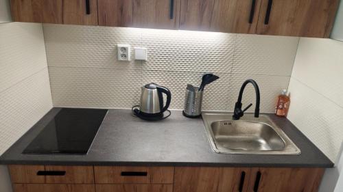 Apartmán pro 2 osoby, Bukovany B3 (Apartman pro 2 osoby, Bukovany B3) in Svatava